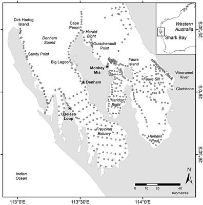 A Systematic Review of How Multiple Stressors From an Extreme Event Drove Ecosystem-Wide Loss of Resilience in an Iconic Seagrass Community